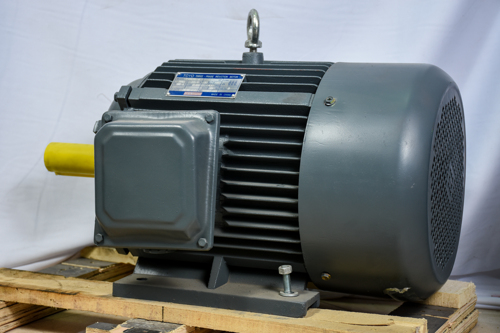 ELECTRIC MOTOR 