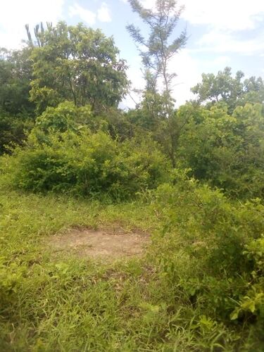 Shamba la eka 20 linauzwa