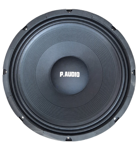 P. Audio Speaker 18"