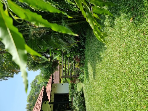 Fabulous House for Rent