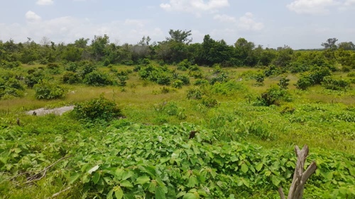 Viwanja Vigwaza Sqm 1003