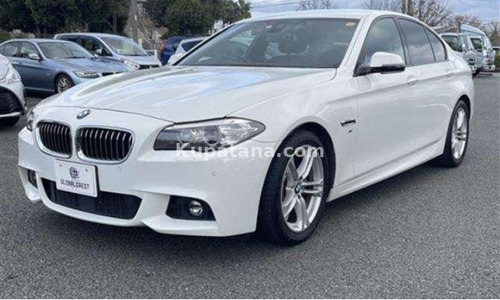 2016 BMW 5 Series FW20