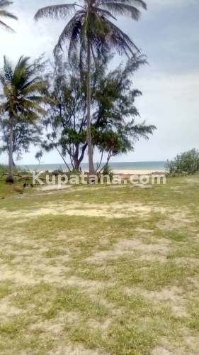 Beach Plot Geza Ulole For Sale At KIGAMBONI JIJINI Dar  Call Us 0784862313