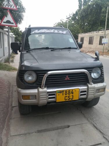 Pajero mini