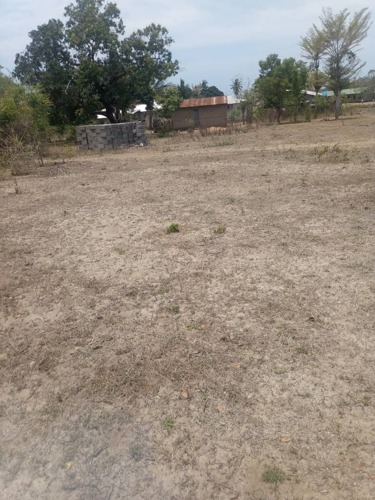 PLOT SQM.4,000 KAOLE B-MOYO 
