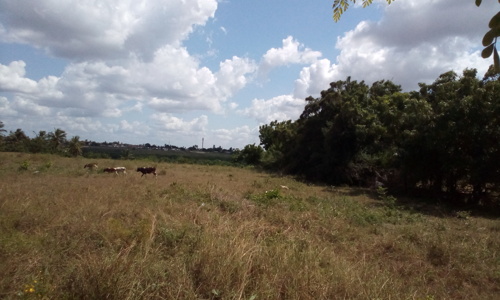 Kiwanja cha Beach (Beach Plot) Kinauzwa