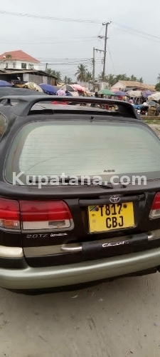 CALDINA KALI #,C