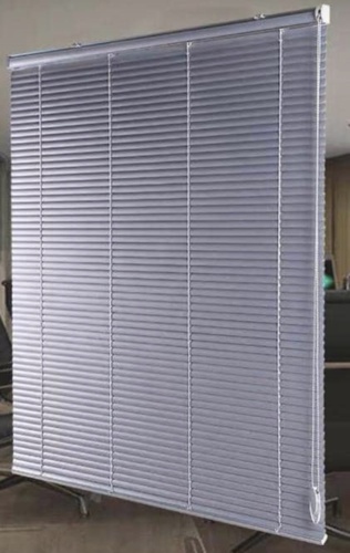 venation per square meter
