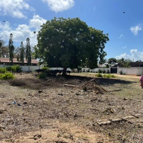 Plot nauza kulangwa/Hoba