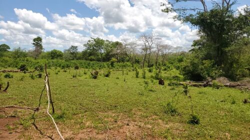 Shamba la eka 100 linauzwa