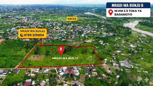 VIWANJA