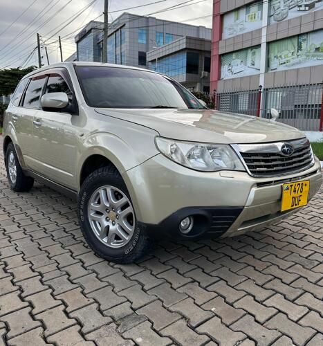 Forester 16.9m