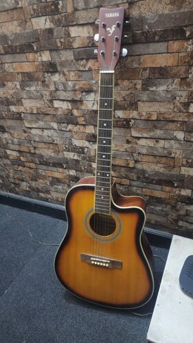 Acaustic Guitar