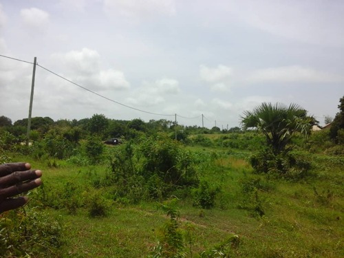 7 500 Square Meters COMMERCIAL PLOT FOR Kupatana