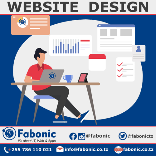 Website Design  in Tanzania