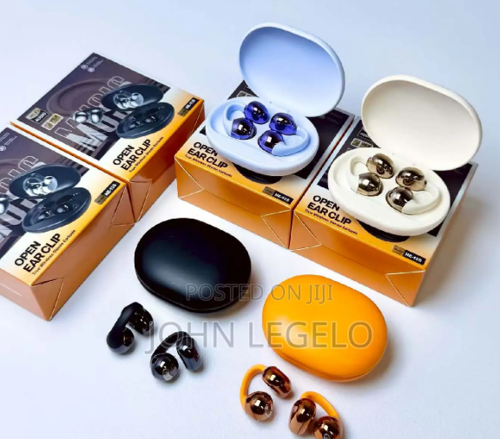 New Wireless Earbuds Bone