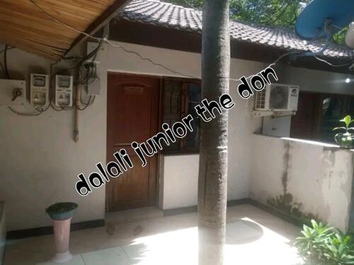 One bedroom apartments for rent