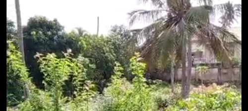 PLOT YENYE HATI,KIMARA TEMBONI