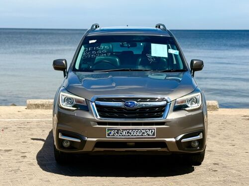  Forester new model chassis 