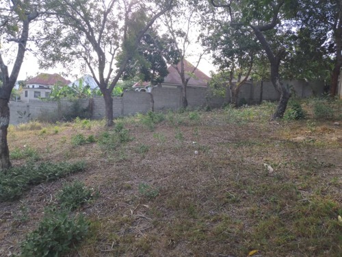 FARM FOR SALE MWANDEGE