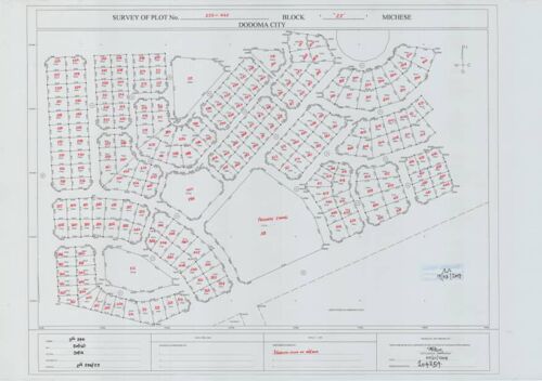 PLOT FOR SALE DODOMA MICHESE 