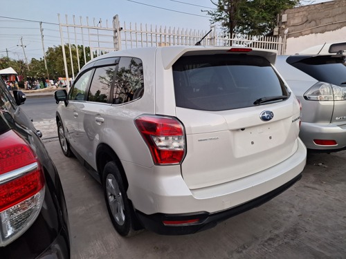 Subaru Forester Newmodel 