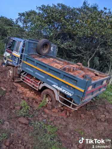 isuzu tipper 