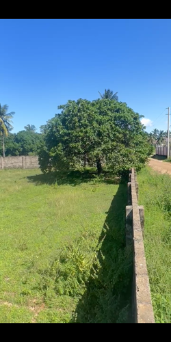 KIWANJA KIGAMBONI, GEZA ULOLE 