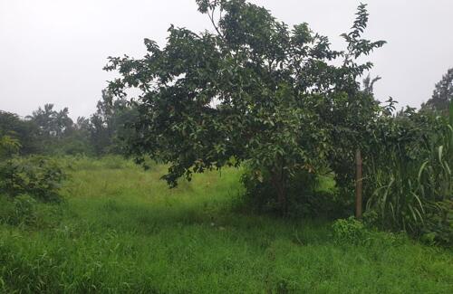 Kiwanja kinauzwa njiro 32×70.