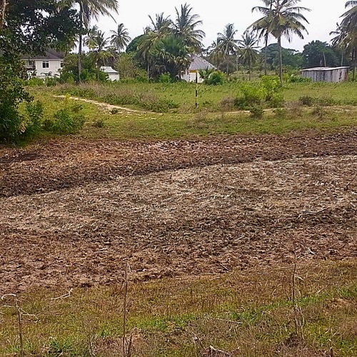 Kiwanja karibu na Beach 