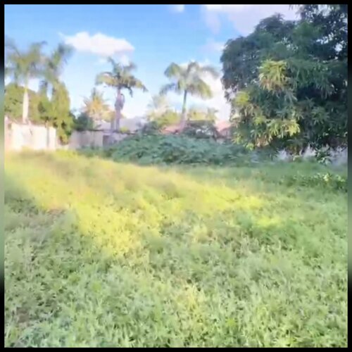 PLOT SQM.1,000 MBEZI CHINI