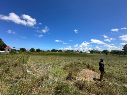 SQM 954 YALEYALE KIGAMBONI