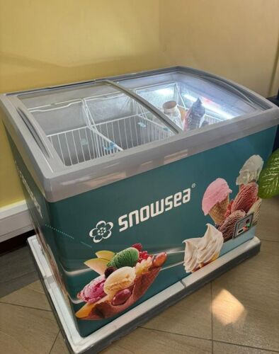 300L SNOWSEA SHOWCASE FREEZER