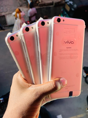 Vivo