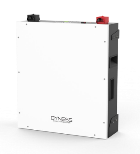 DYNESS BATTERY A48100