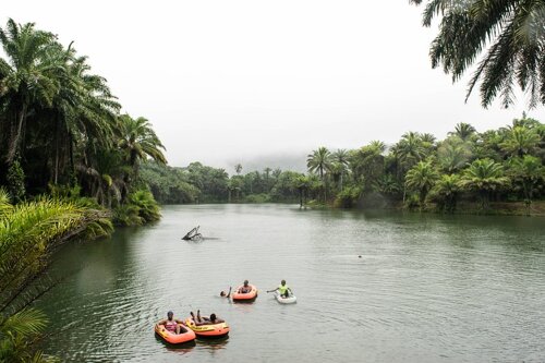 Magoroto forest