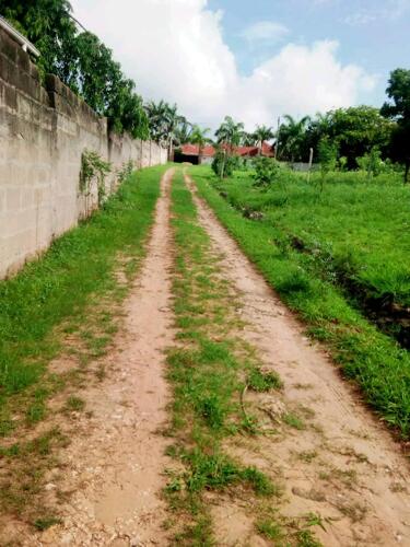 1 ACRE OF GOBA FOR SALE