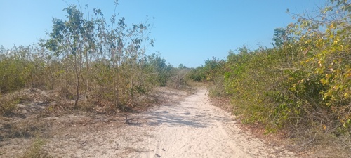Farm  in Fukayose Bagamoyo 