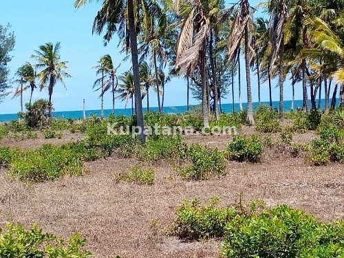 Beach Plot For Sale At KIGAMBONI JIJINI Dar 