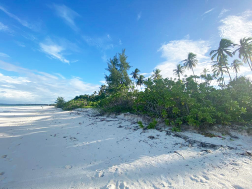 White Sand 46,800 SQM Plot For Sale-Zanzibar