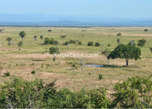 Land for sale at Mikumi Morogoro Tanzania