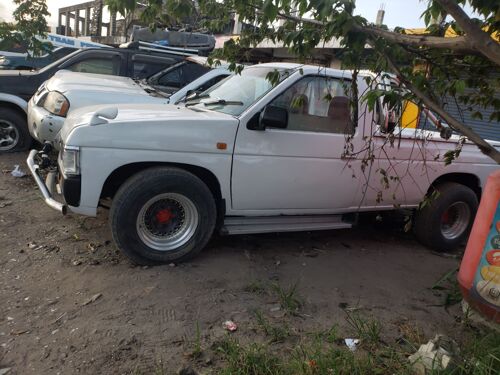 nissan datsun 