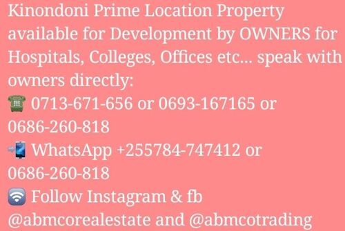 Kinondoni property 