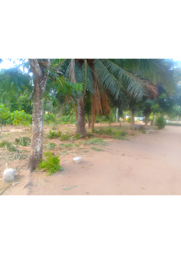 Sqm2000 Pugu Million 150