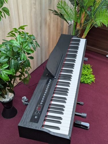Digital piano heavyweight key 