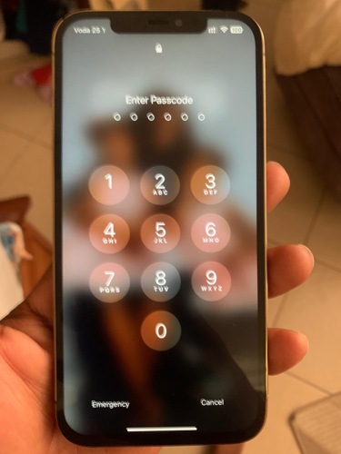 Iphone 12 Pro Max