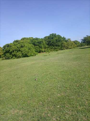 Plot for sale at bagamoyo