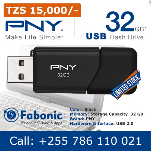 PNY 32GB Flash Drive