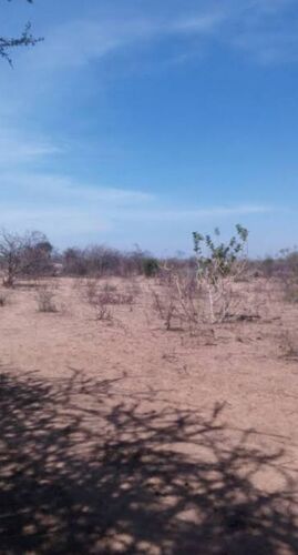 38 Plots for sale Nala 38500sq