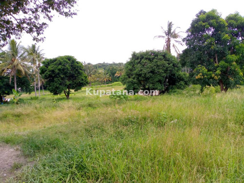 PLOT FOR SALE AT OYSTERBAY,DAR ES SALAAM